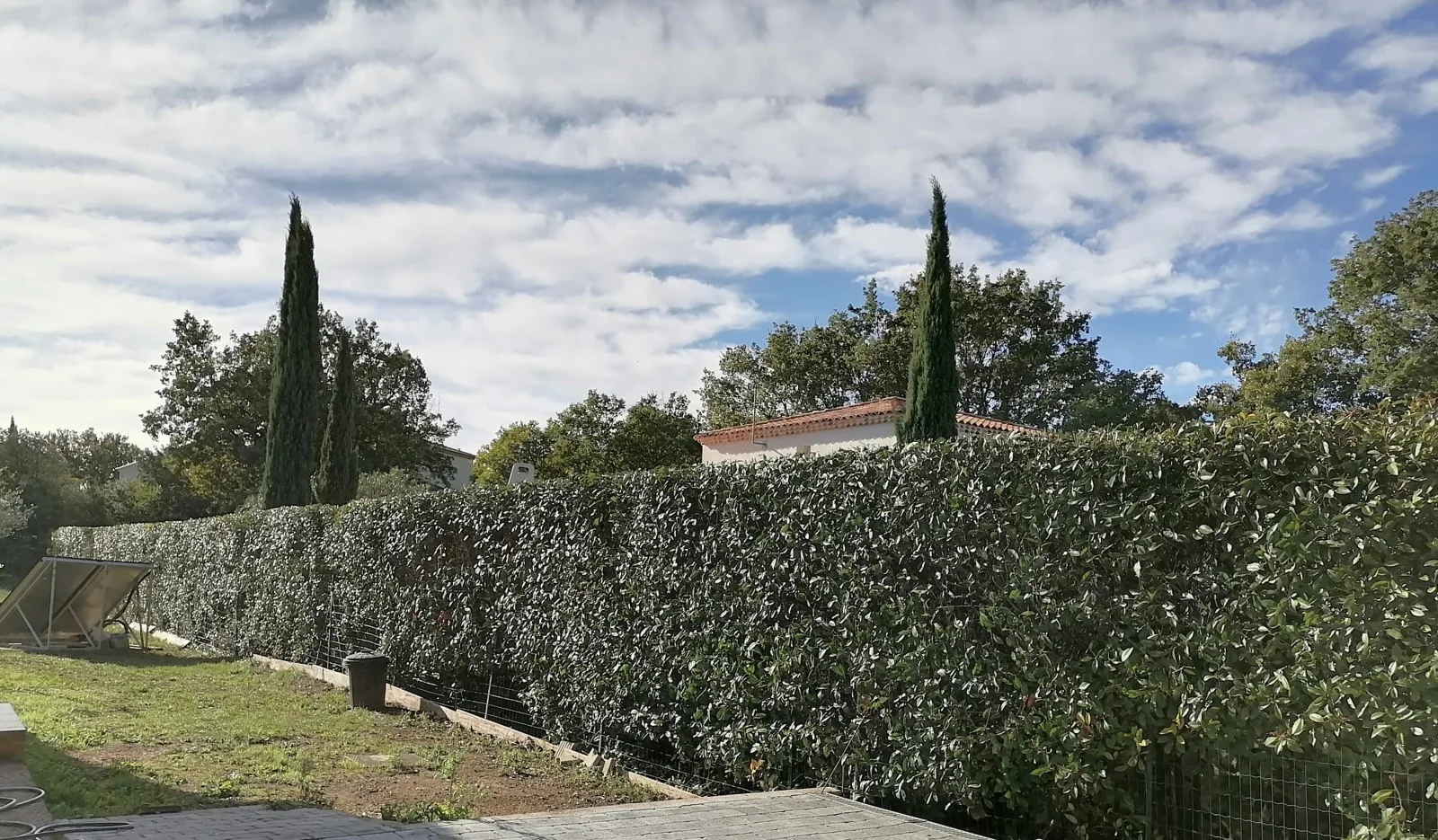 Une haie taillée dans un jardin