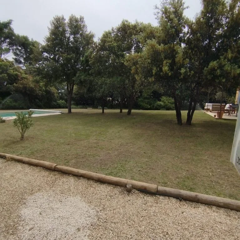 Pelouse et bordures autour des arbres