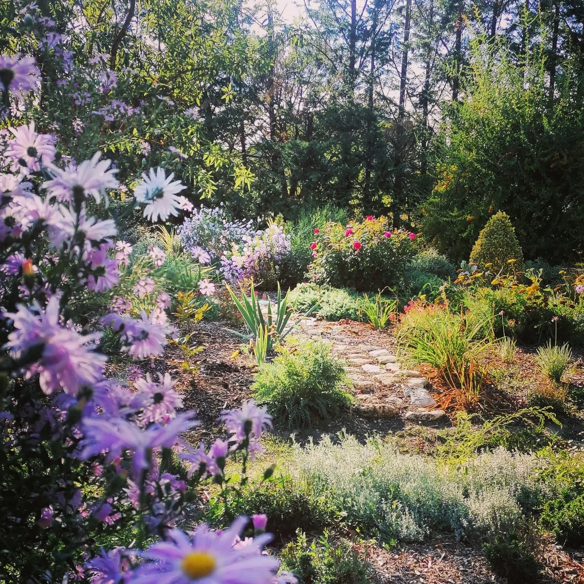 Une allée entre les massifs fleuris