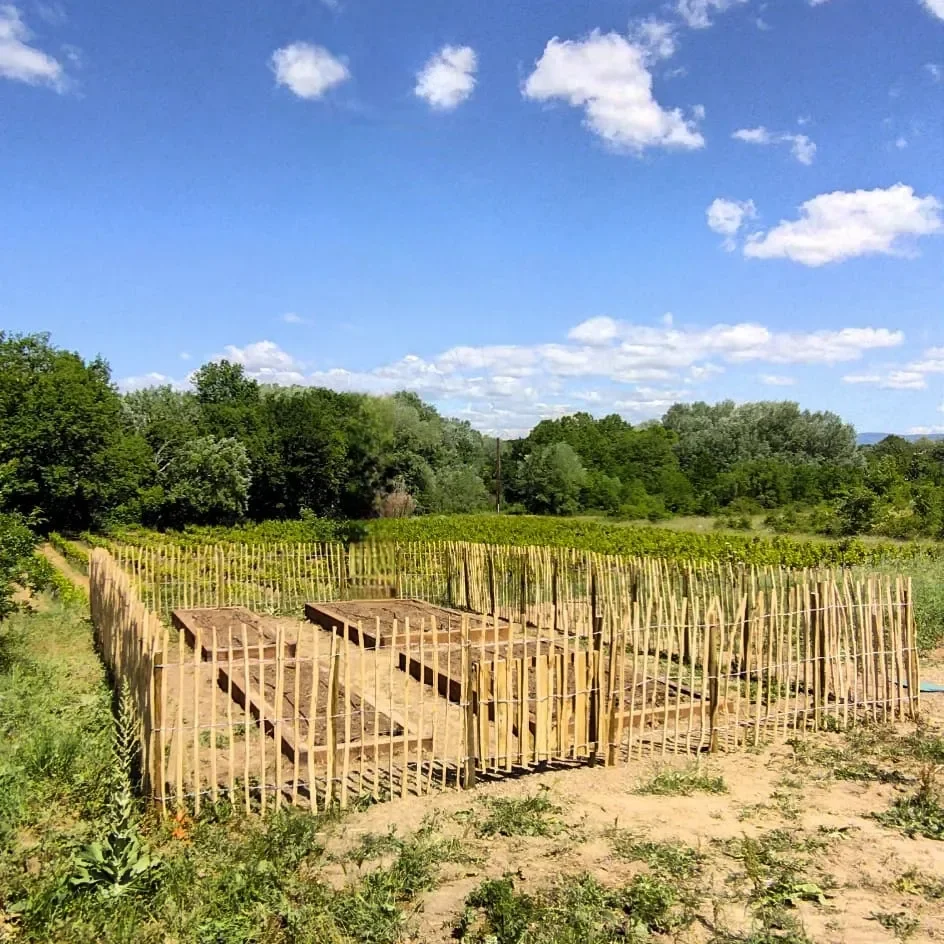 Un potager délimité par des ganivelles