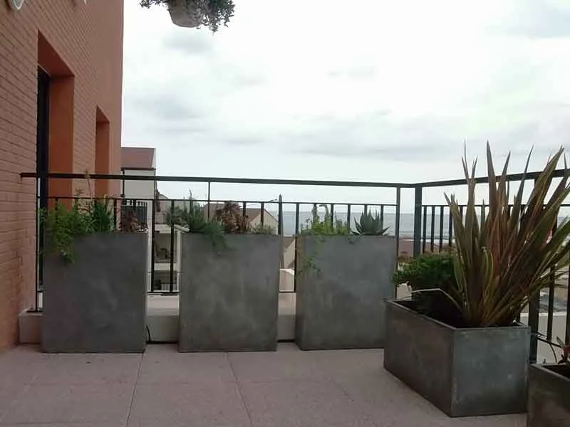 Une terrasse aménagée à l’Estaque