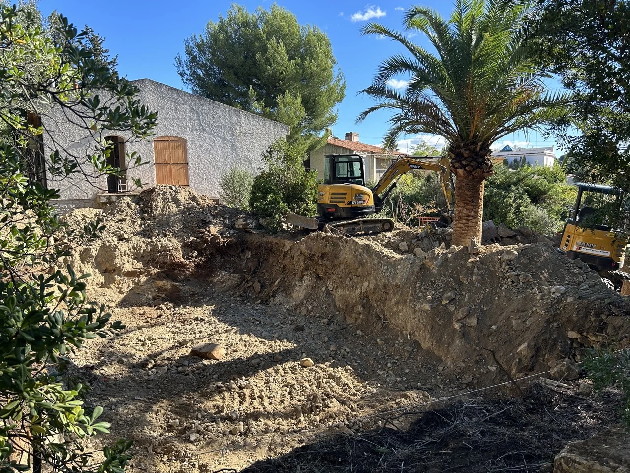 Travaux de terrassement à proximité d’un palmier