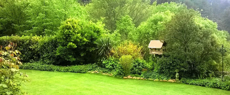 Une pelouse et ses plantations