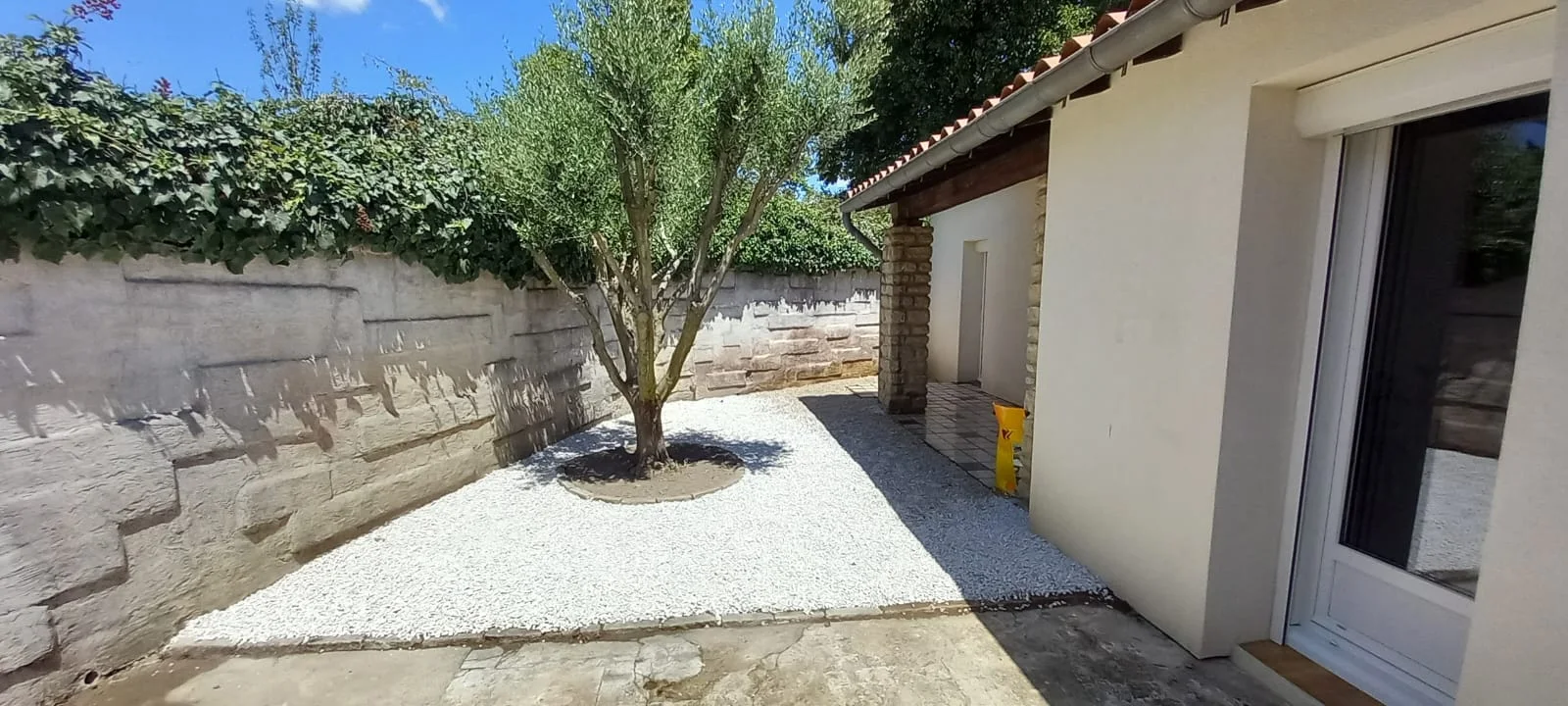 Une cour minérale plantée d’un olivier