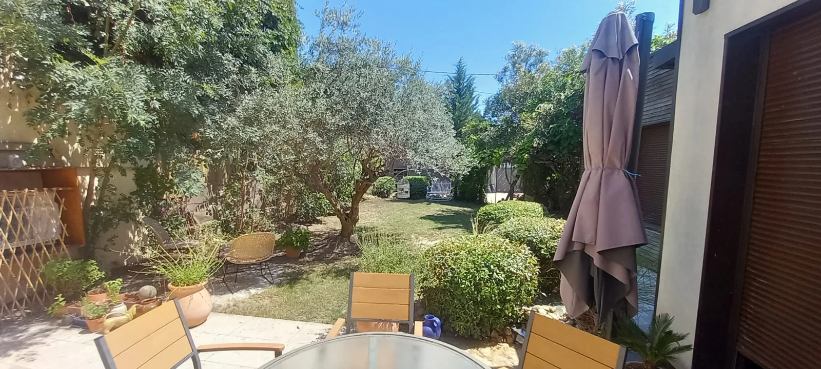 Un jardin de maison avec pelouse et olivier